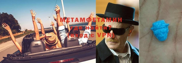 индика Аркадак