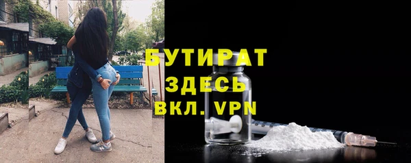 индика Аркадак