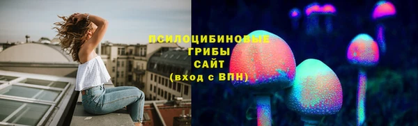 крисы Няндома