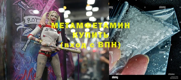 индика Аркадак