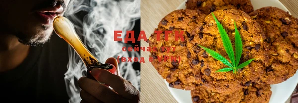 индика Аркадак