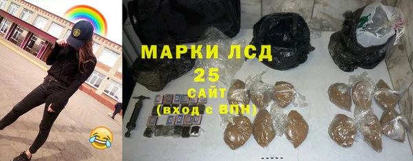 индика Аркадак
