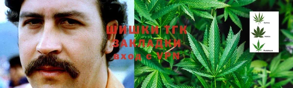 индика Аркадак