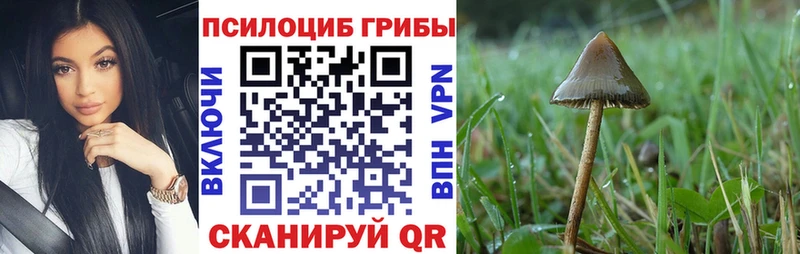 Псилоцибиновые грибы MAGIC MUSHROOMS  Тара 